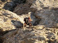 Klik za večjo sliko